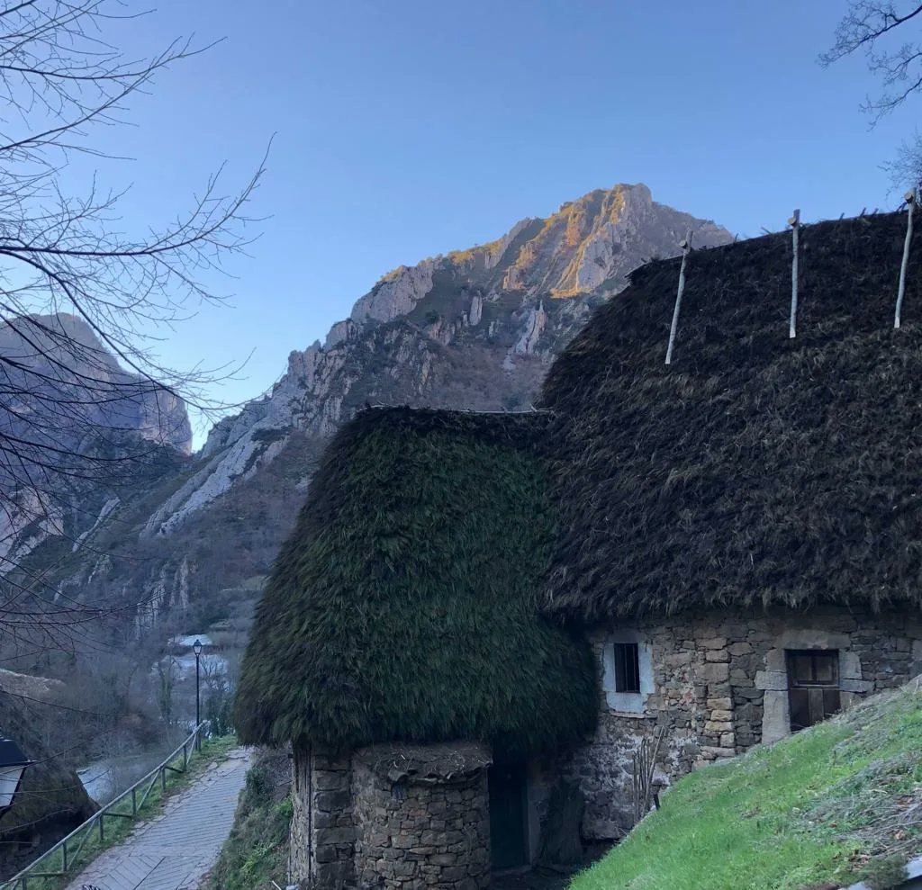 SomiedoEcomuseo's tweet photo. Casa Diotina ya está teitada! Ahora le toca a Casa Rosa 👏🏼👏🏼👏🏼
#ecomuseodesomiedo #casasdeteitodescoba #conservación #pstsomiedo @TurismoAsturias @OficialSomiedo @PSTSomiedo @mincoturgob @GobAsturias https://t.co/JRVl0sIoSy