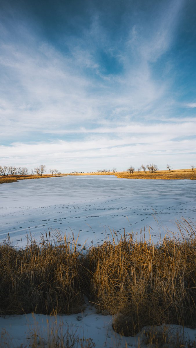 HelloColorado's tweet photo. Gonna keep posting photos. The more I do it, the more people will see them, and maybe that'll resonate with a few people, and then a few more. Gonna keep telling stories through pictures as this community grows from seed to forest.
#helloColorado #a7iv #nature #photography @sony https://t.co/PT6CmjpfhJ