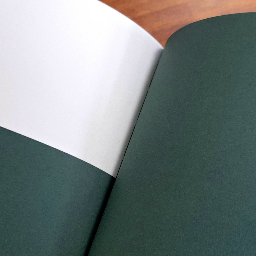 𝐃𝐞 𝐁𝐢𝐧𝐤 tweet media