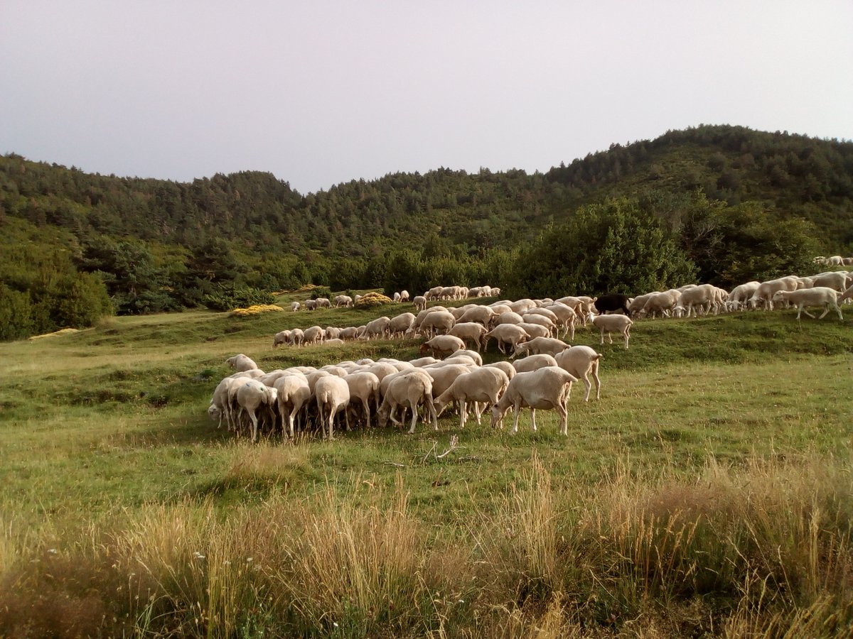 RETA_Asociacion's tweet photo. ¡Hoy es un gran día! Arrancamos con el proceso de creación de la nueva etapa RETA para sumar entidades e intercambiar experiencias, y  para apoyar a una nueva generación agraria #espaciotestagrario #relevogeneracional #nuevosagentes ¡Ilusionadas con el trabajo en red! https://t.co/4ioCADjND4