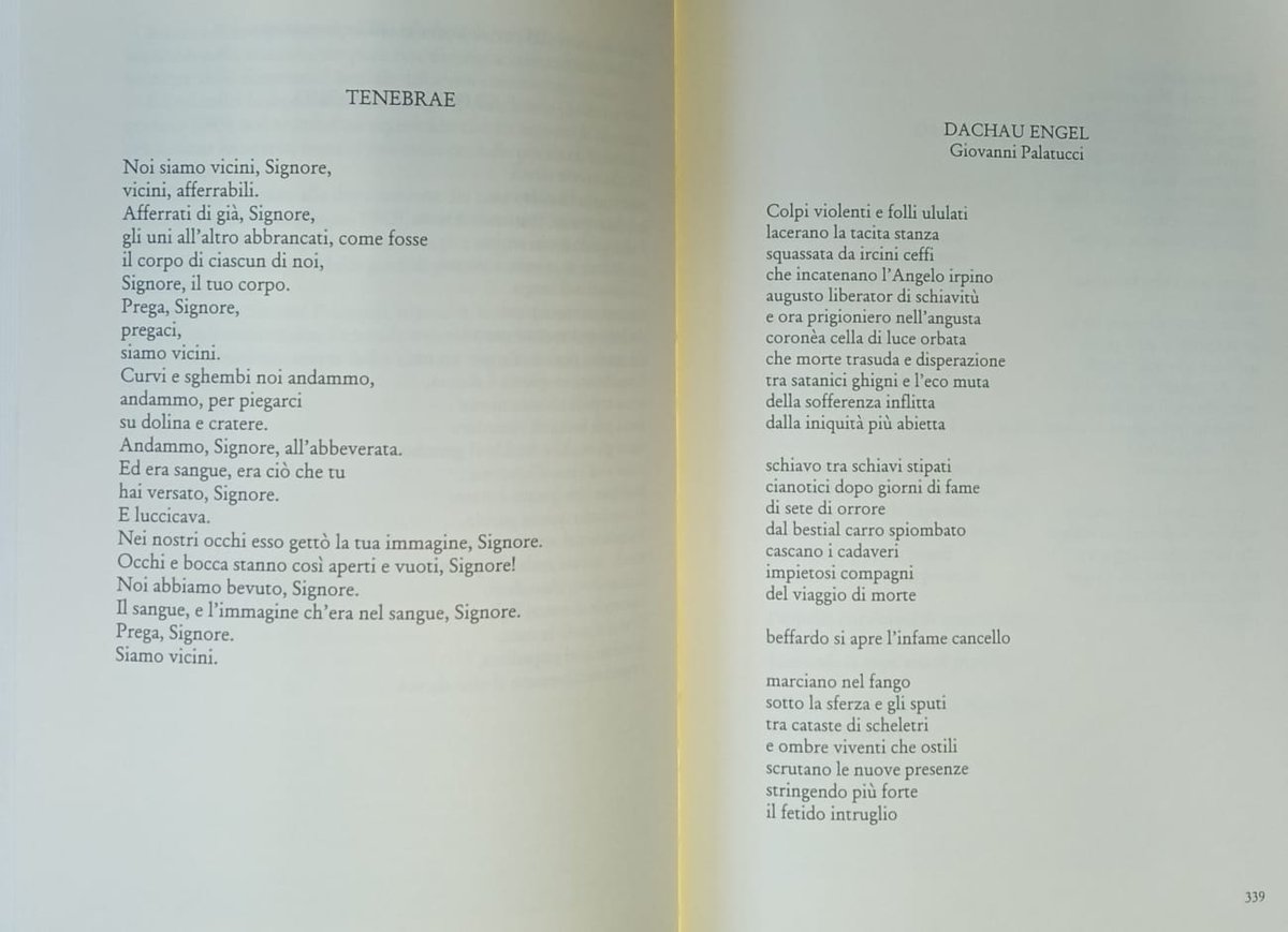 Pensieri in prosa della senatrice Liliana Segre e in versi di Antonio De Simone Palatucci (nipote del questore di Fiume, Giovanni), per mantenere sempre vivo il ricordo dell'enorme tragedia della Shoah e delle innumerevoli vite annientate durante l'Olocausto