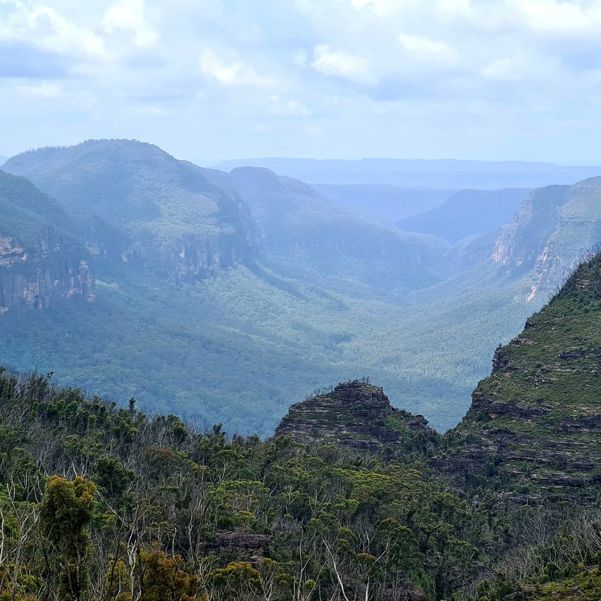 Willmac1983's tweet photo. Great hike up to #lockleyspylon in the #bluemountains 2hrs in and out with great views.
#hikingadventures #hiking #hikingaustralia #outdoors #bushwalk #changethedate https://t.co/JBCthwFzC8