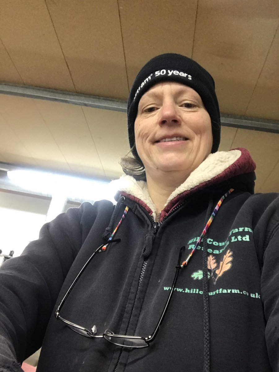 HillCourtFarm's tweet photo. During the #Nmin season every second counts, so we are always trying to streamline our processes to maximum efficiency. Simple solutions are the best, like a piece of string for my reading glasses 😁👍! #thosegranniesknewsomething #changedmylife https://t.co/MyaVmf5t1v