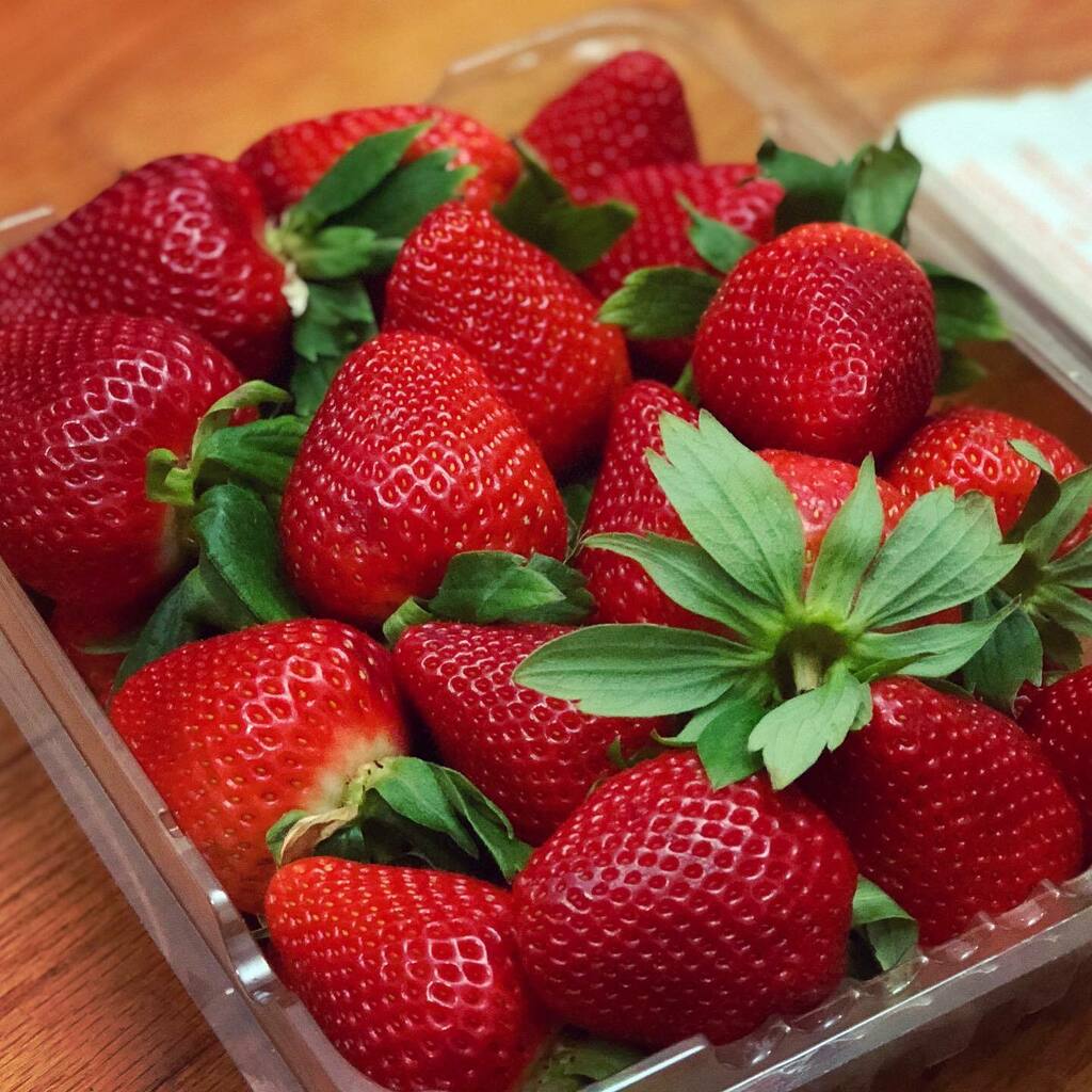 laavyskitchen's tweet photo. Perfection #strawberry 🍓 #beautiful 🤩 #love #fruits #food - https://t.co/4FuGeD3w1T https://t.co/wORYbz9RHN