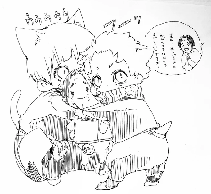 ぬいを返してくれないし2匹に増えた猫 