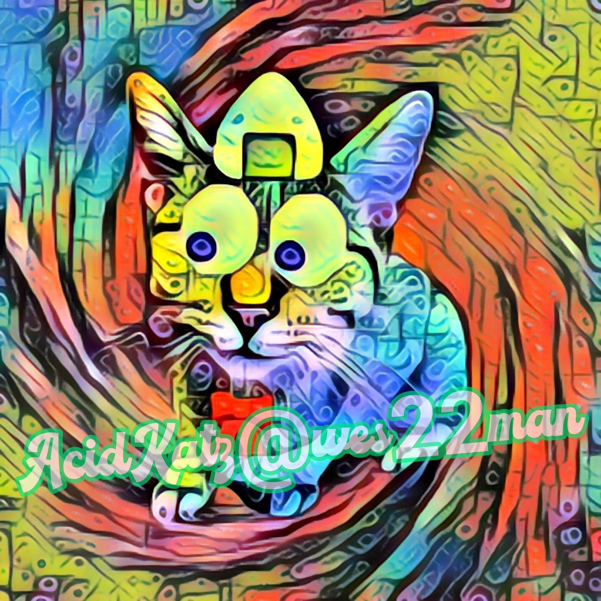 wes22man's tweet photo. @DcEmaniac Check out these Psychedelic Celestial Kitties and help give them a new home. 

https://t.co/kRDfcwQwlF https://t.co/06nJPvJqN6