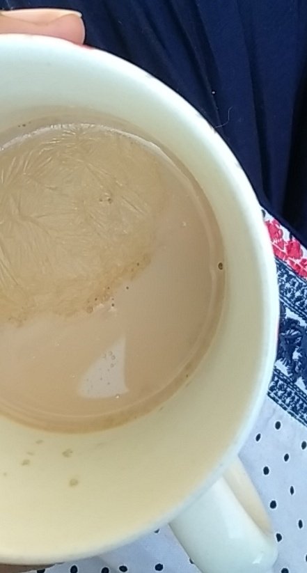 مانگ رہا تھا ثبوت وہ محبت کا--------
میں آدھی چائے نہ دیتی تو اور کیا کرتی
#goodmorning