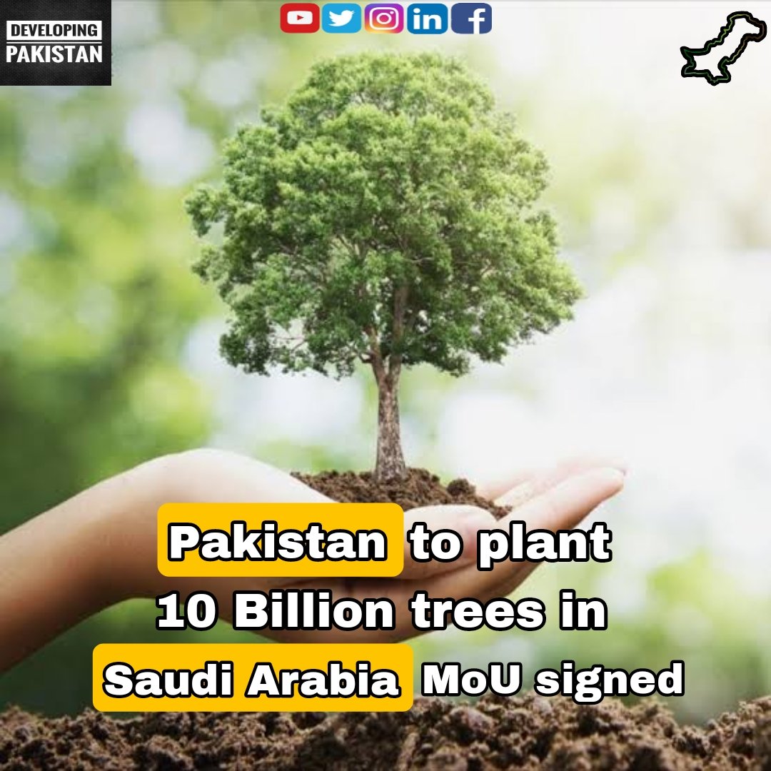 A MoU has been signed between Pakistan and Saudi Arabia for large-scale tree planting in Saudi Arabia. Pakistan will provide technical assistance for a 10 billion tree project in Saudi Arabia.

#DevelopingPakistan #MOU #SaudiArabia #Pakistan #PlantTreesSaveEarth #TreesPlanting 🇵🇰