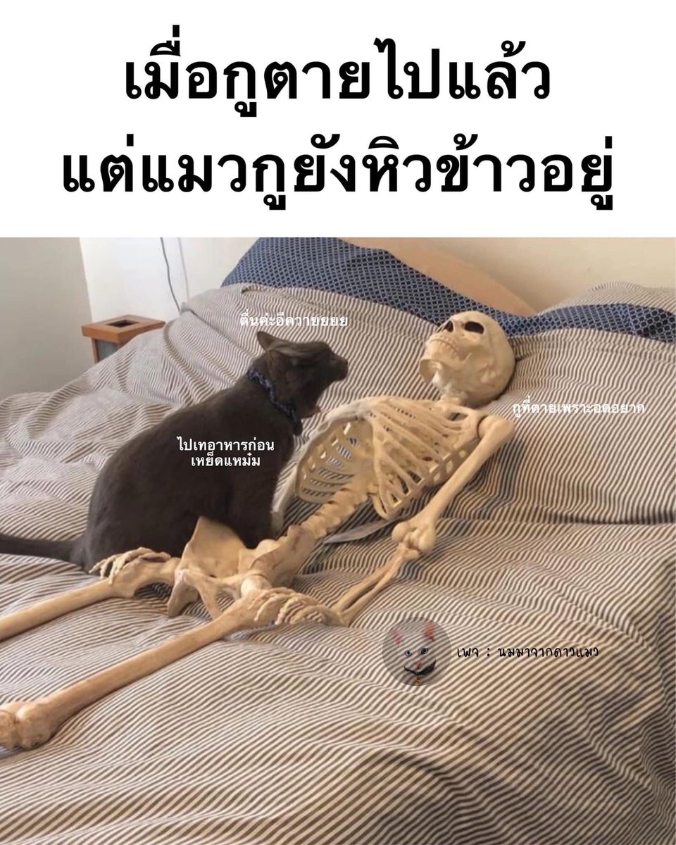 โคตรตั้งใจอ่านแล้วแบบหลุดขำ 55555555555555555555555555555555555555555555555555555555555555555555555555555555555555555555555555555555555555555555555555555555555555555555555555555555555555555555555555555555555555555555555555555555555555555555555555555555555555555555555555555555555