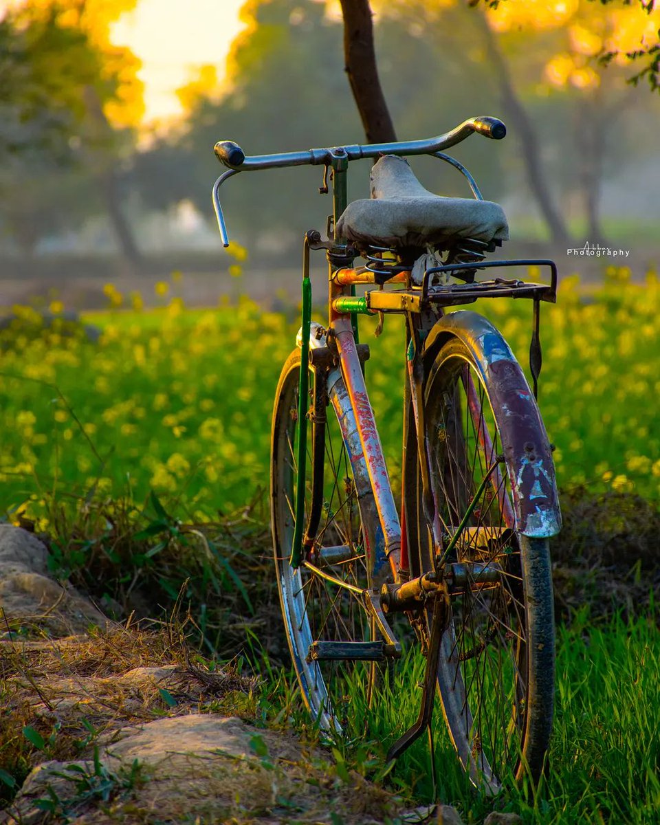 TravelPakistan_'s tweet photo. Mian Channu-Punjab 🇵🇰 https://t.co/fyr990TuTV