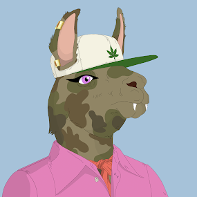 The reveal for my first NFT mints. 

<a href="/nolimitllamas/">No Limit Llamas | Mint Live</a> 🦙🔥

Here's my thought process for jumping into this project.