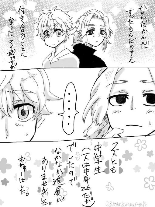 中学生マイ武と社会人マイ武(平和軸)の話 