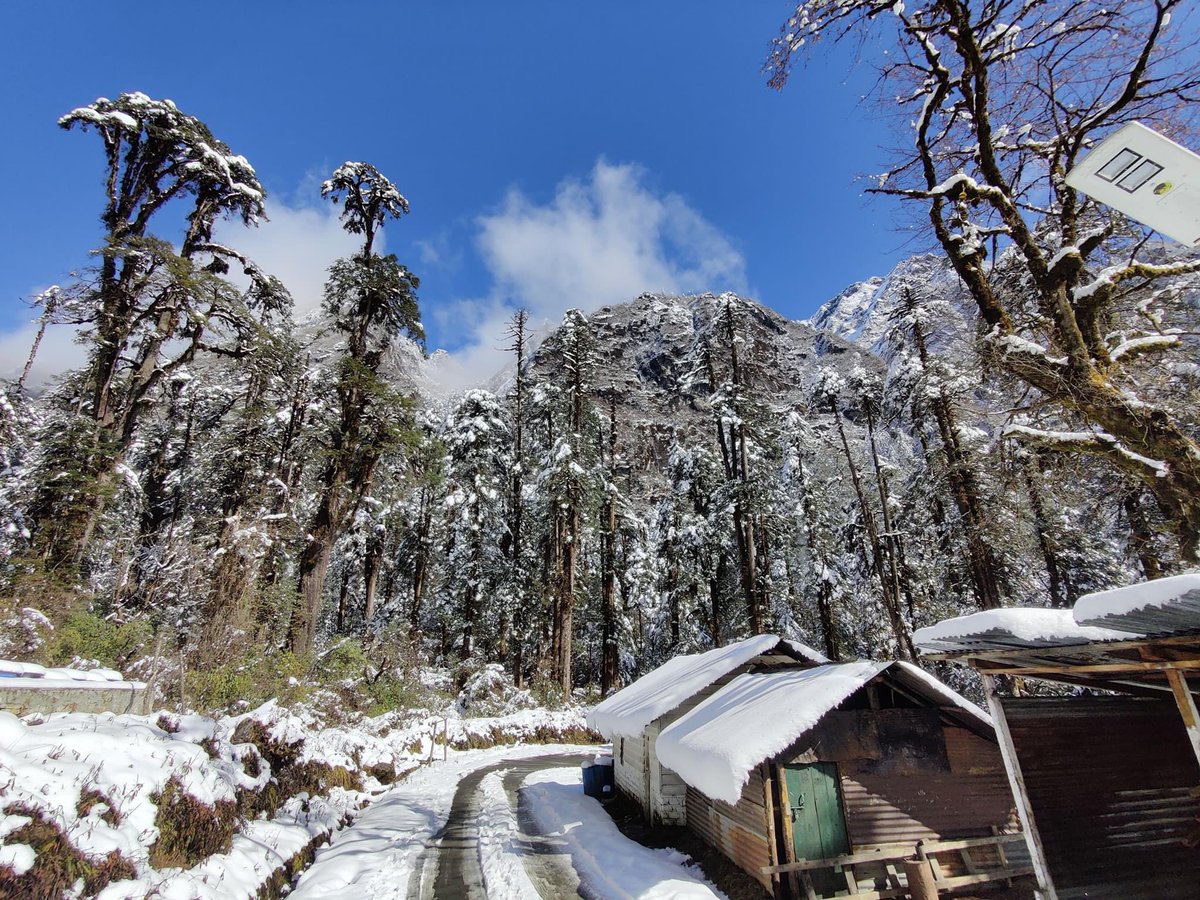 A beautiful paradise awaits you at Lamang in Shi Yomi district. 

#AmazingArunachal #VisitArunachal #Mechuka