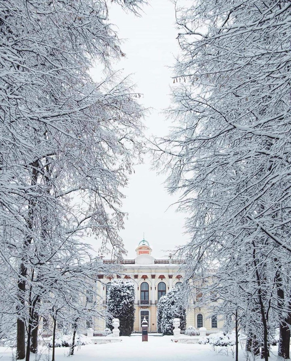 russtudyforum's tweet photo. Good morning from the Petrovsko-Razumovskoe historic estate!

The territory of the former estate today houses the Russian Agrarian University named after K. A. Timiryazev, as well as other educational institutions.
📷 Yulia Ivanova https://t.co/aS7Pp65YLB