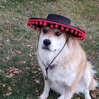 EL SERENO RECORDS tweet media