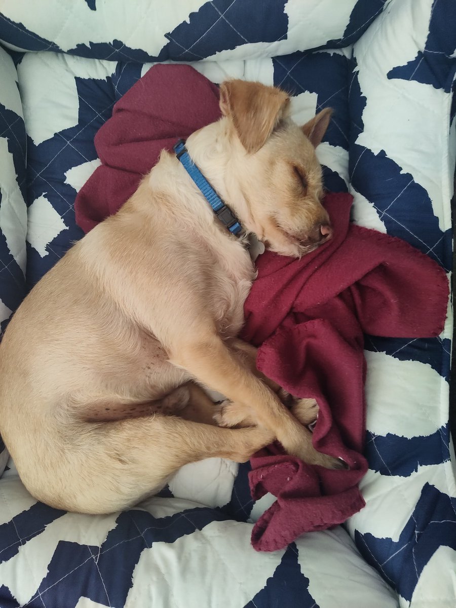 Jose Hernandez Diaz tweet media