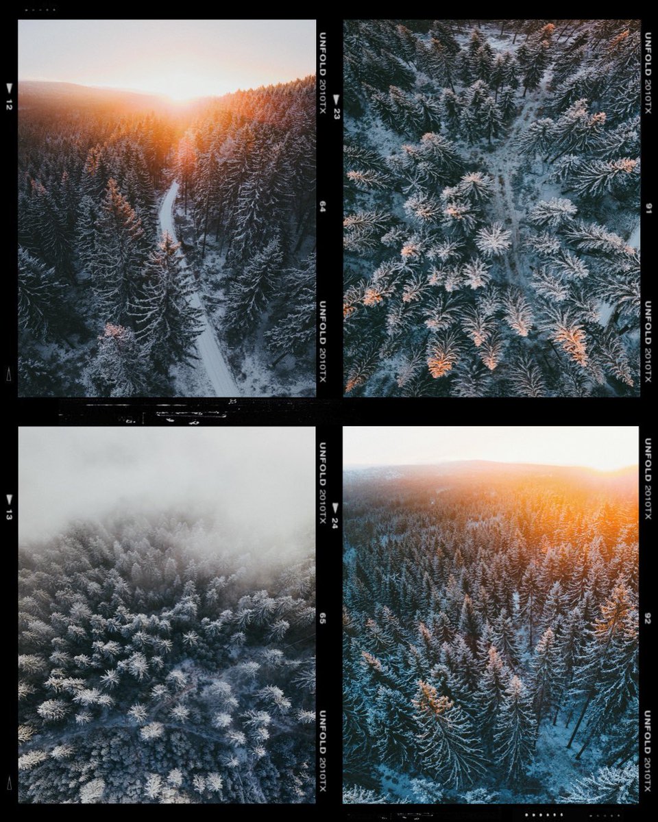 PhotosByMoners's tweet photo. Moody winter forest bird view vibes ❄️ https://t.co/HXUj3V1cbs