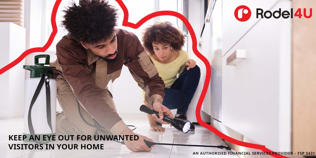 Rodel4Uza's tweet photo. Prevent any damages to your home, caused by unwanted visitors such as termites &amp; 🐭 rodents.

Regularly maintain your 🏠 house &amp; specifically check wooden furniture, ceilings &amp; surfaces. https://t.co/xKhWQ6f58C