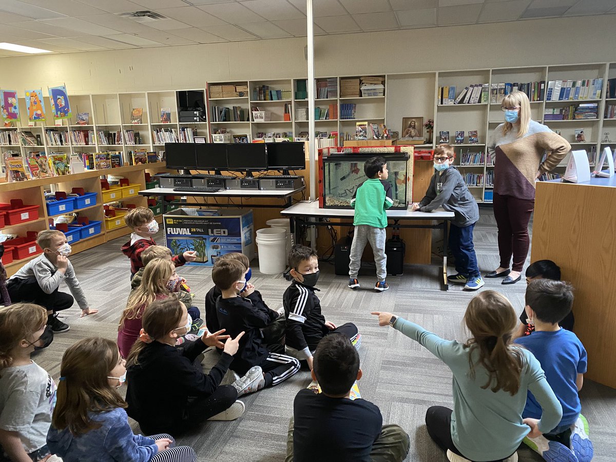All the excitement and engagement about our fish friends from our FINs project is pretty “fintastic”! 🐠 It is amazing to witness how eager our students are to learn and discover. <a href="/BowHabitat/">Bow Habitat Station</a> <a href="/EICSCatholic/">Elk Island Catholic Schools</a> #fishinschools #rainbowtrout