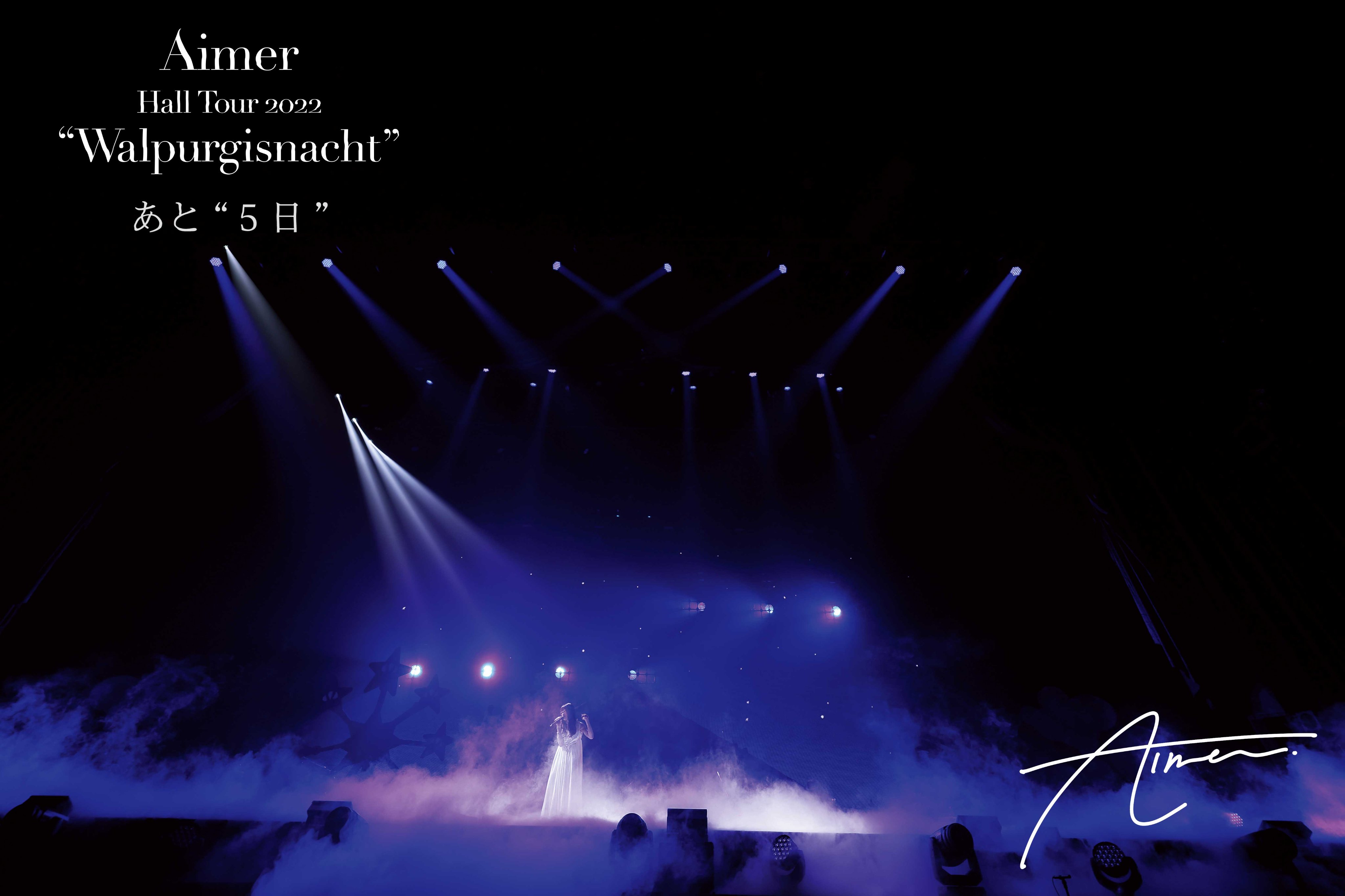 Aimer Live Tour 