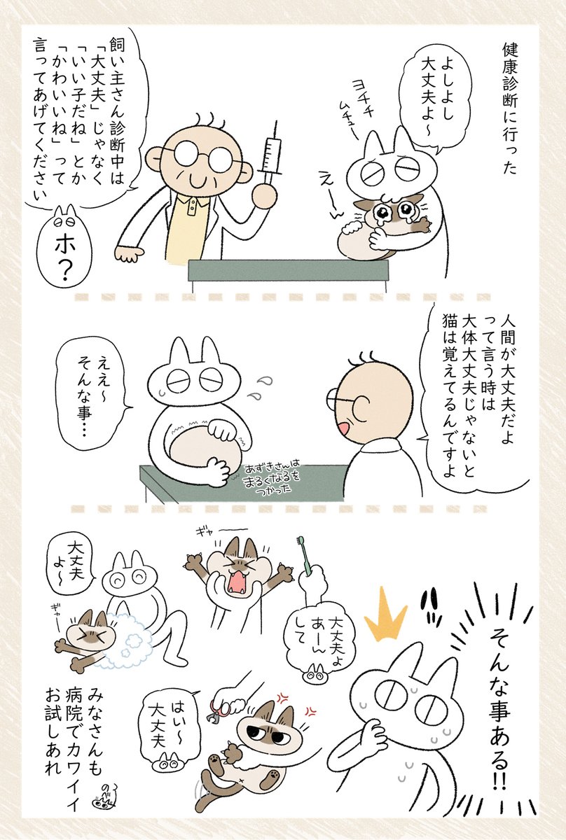 しかし病院の先生の前で「あずちゃんきゃわだねぇ～ちゅ～😚」とかいうの恥ずかしすぎ問題をどうクリアするか… #シャム猫あずきさんは世界の中心 