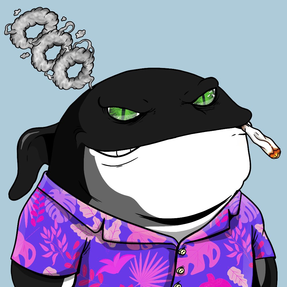 HaquesCall's tweet photo. It's been a PHAT MINUTE! WHALERE my @catalinawhales at, ya boi needs some follow back #powpow #podup https://t.co/ltx5XSA1Ft