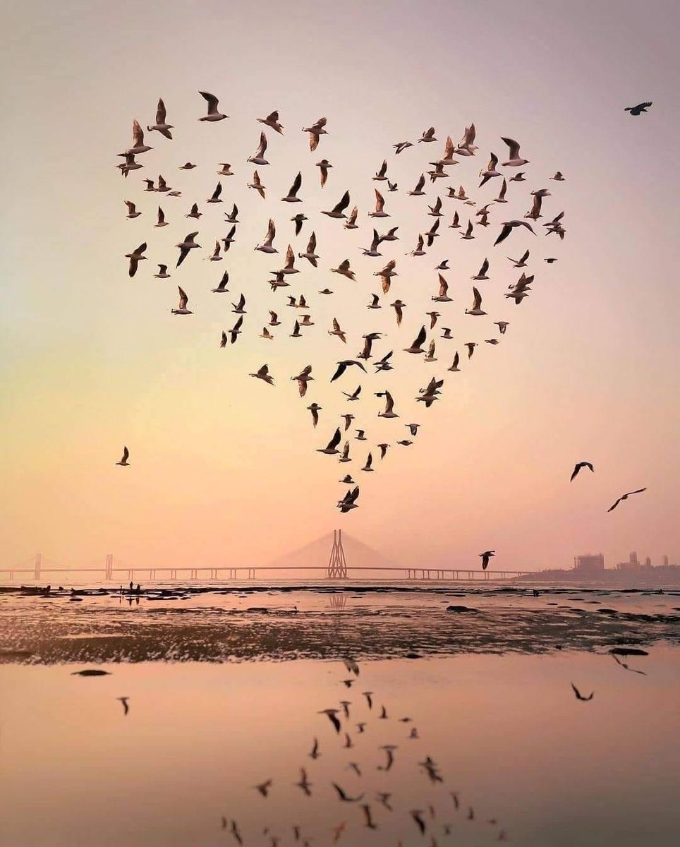 Prachi_Ras's tweet photo. Paradise isn't a place 
It's a feeling ! https://t.co/iJIa1zPtap