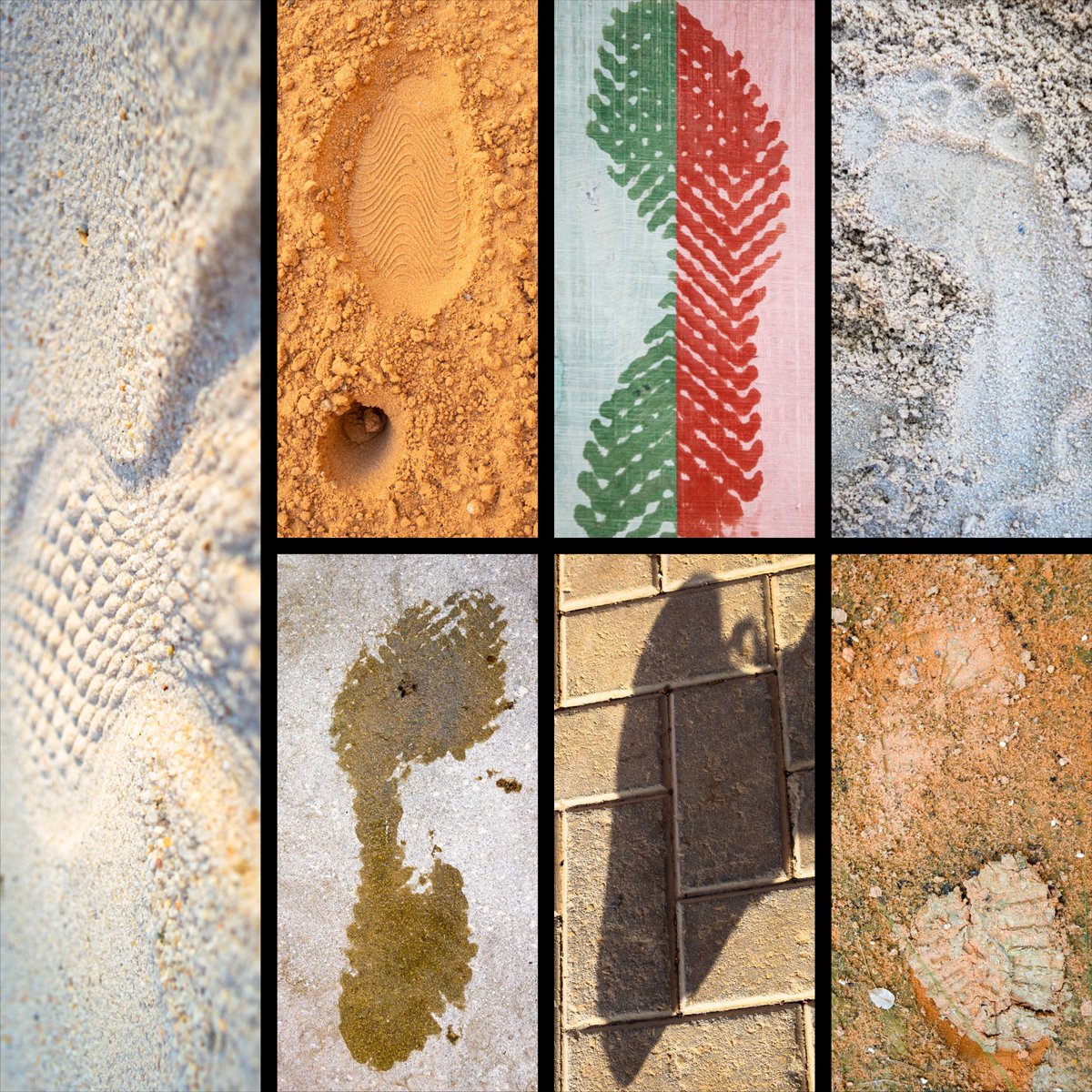 Activities at BISR tweet media