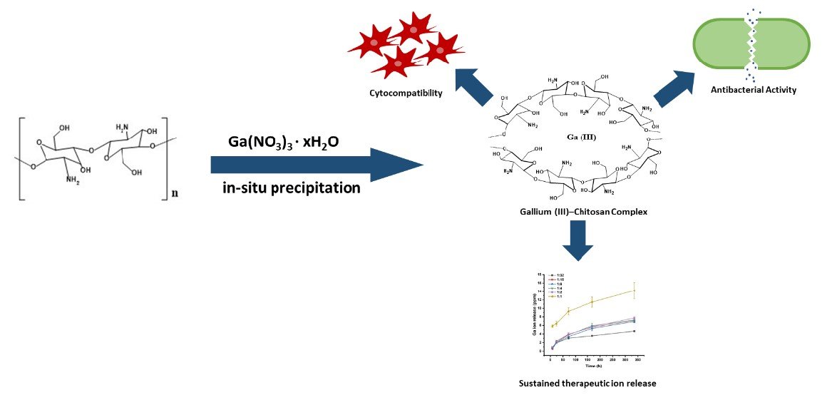 #MDPIPharmaceutics 📗
"Facile Synthesis of Gallium (III)-Chitosan Complexes as Antibacterial Biomaterial" by Muhammad Asim Akhtar  et al.

Full paper at：mdpi.com/1999-4923/13/1…