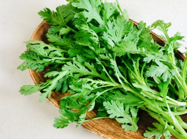 公式 オンライン英会話なら E英会話 2回無料体験実施中 Eeikaiwa Cebu Twitter