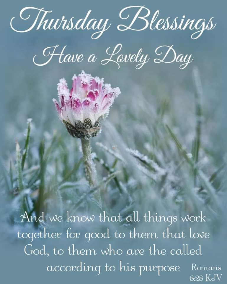 HarrietPJamison's tweet photo. TWITTER HAVE A TERRIFIC THURSDAY https://t.co/pLXTI0GaSb
