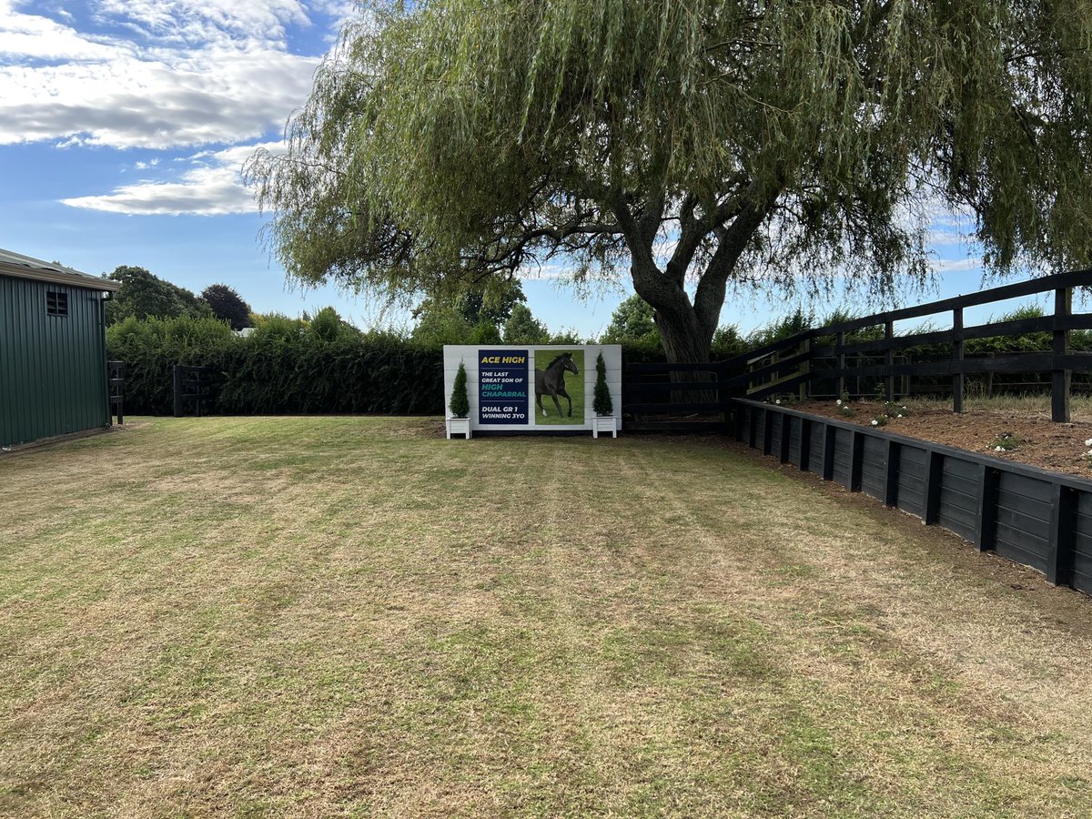 JohnTho31343873's tweet photo. Parade ring mown. All set to start photos tom!. Countdown to ⁦@KarakaChat⁩ sales. We will proudly offer the first crop yearlings by the mighty ACE HIGH plus others by resident stallions PROISIR, SATONO ALADDIN,SHOCKING and VADAMOS #siresonfire ⁦@anz_news⁩ https://t.co/w8mZ1UqSj2