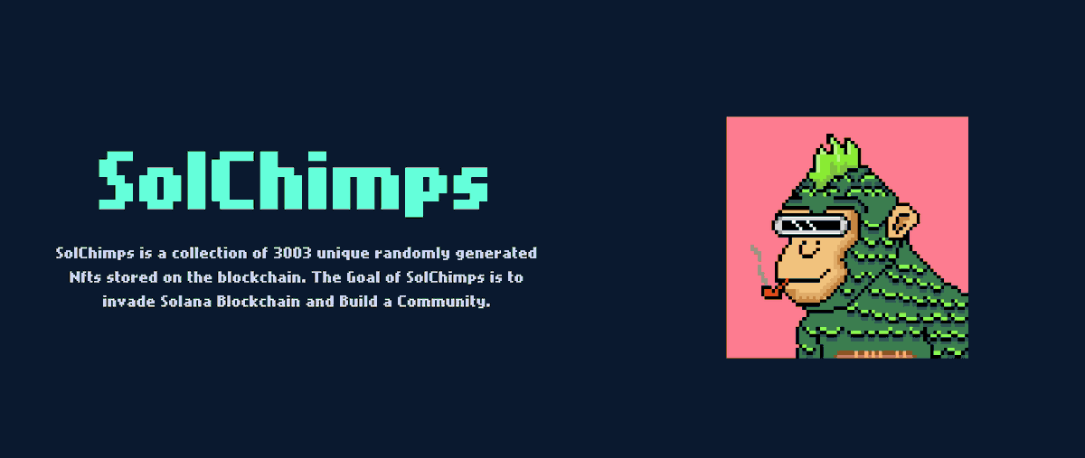 SolChimps's tweet photo. #1 Here comes the SolChimps to invade the Solana Blockchain
#NFTs #SolanaNFTs #Solana #NFTCommunity #SolChimps https://t.co/k31qJ6XhEn