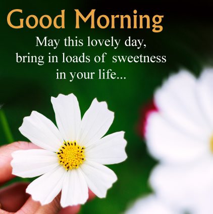 Good morning. Enjoy your day