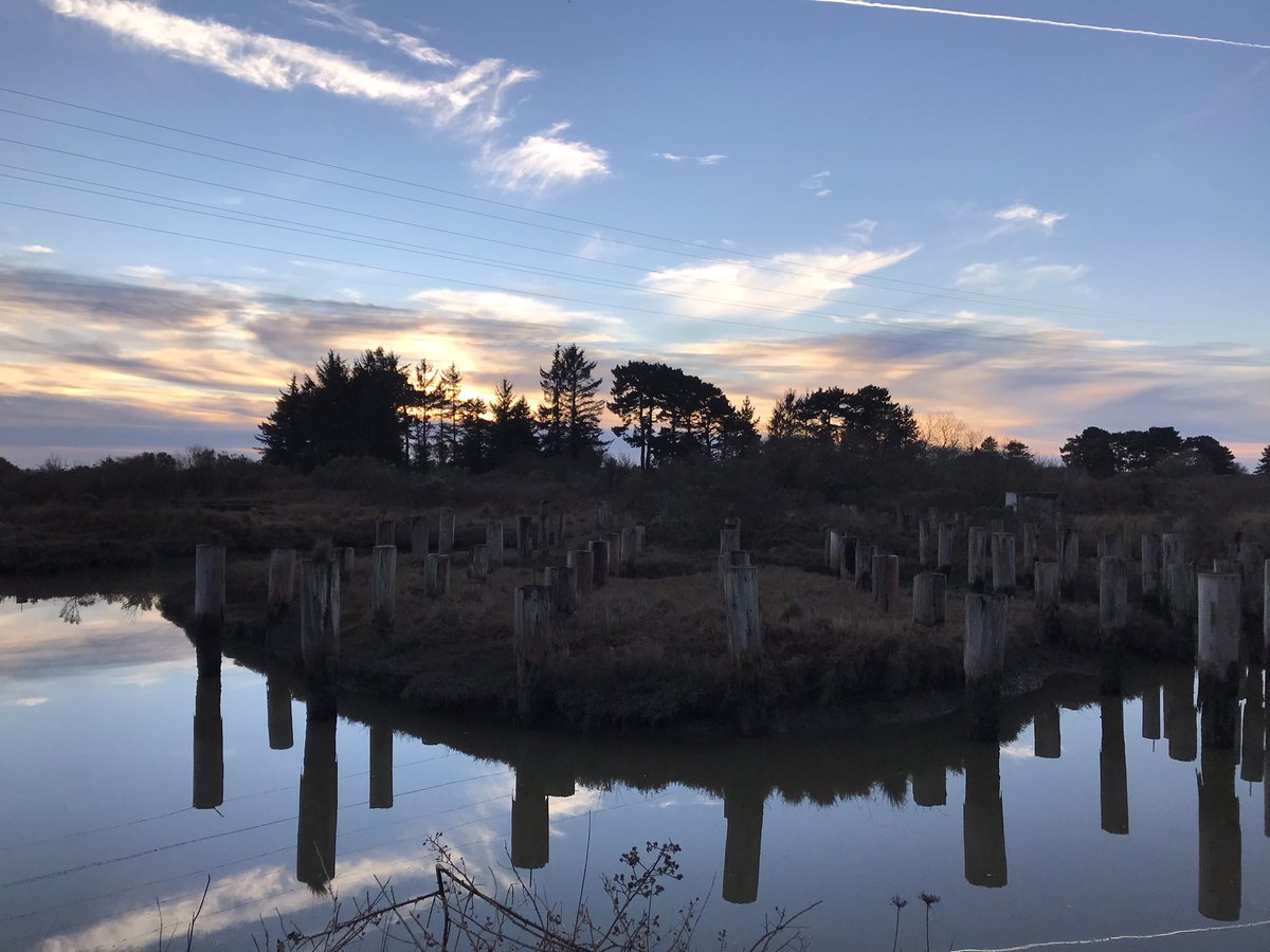 candela3_cantos's tweet image. I haven't said this until now because it felt like a dream... and still does a bit, but I'm starting to believe it :). I was awarded a Margarita Salas Postdoc at the end of last year and I moved to Arcata, California on Jan 1st for 2 years!