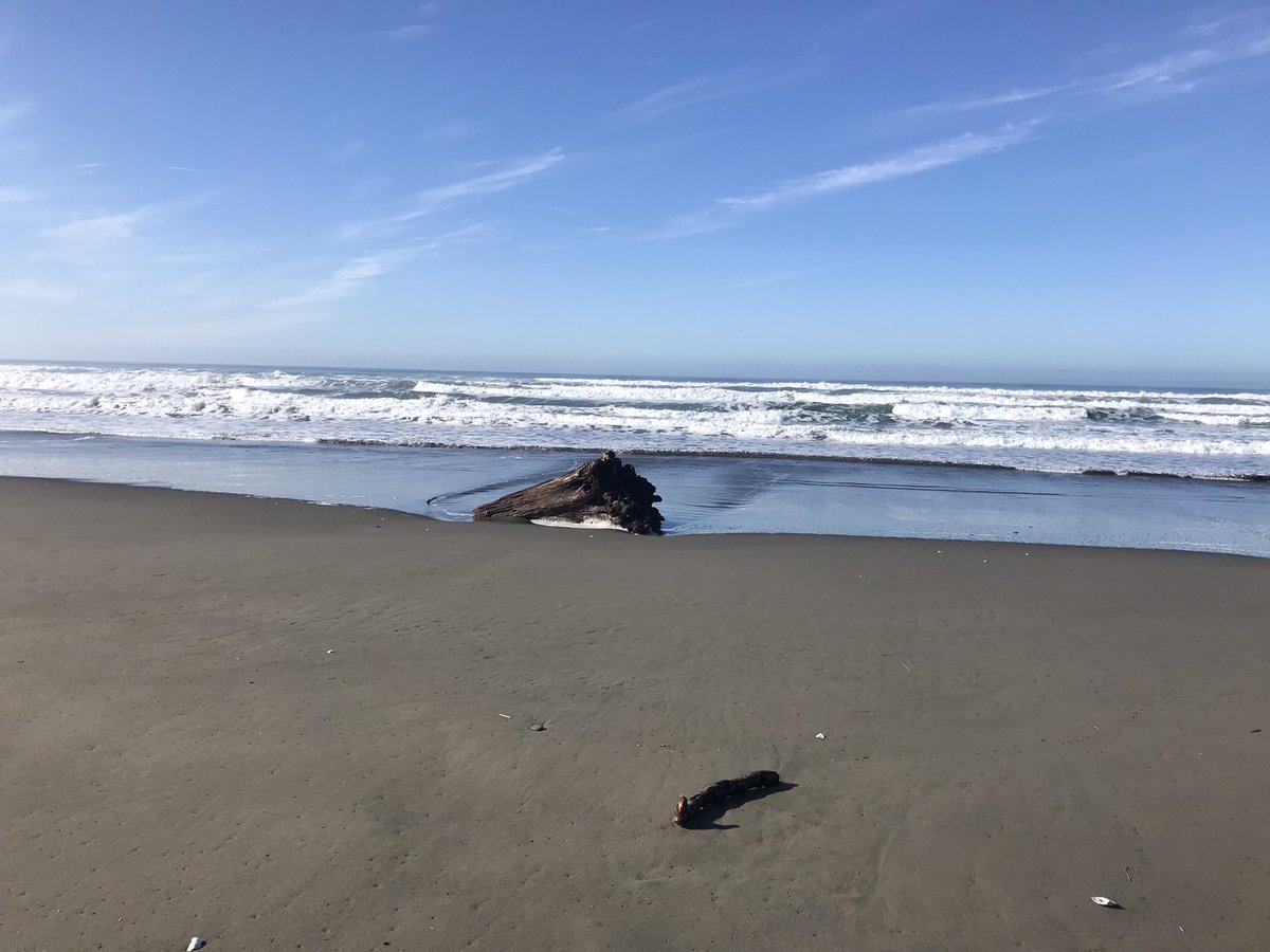 candela3_cantos's tweet image. I haven't said this until now because it felt like a dream... and still does a bit, but I'm starting to believe it :). I was awarded a Margarita Salas Postdoc at the end of last year and I moved to Arcata, California on Jan 1st for 2 years!