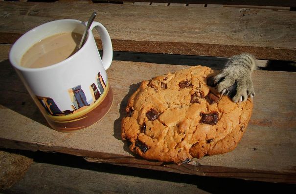 EthelDa8494's tweet photo. Somebody Wants Her Breakfast )) https://t.co/5tSktEwFd6