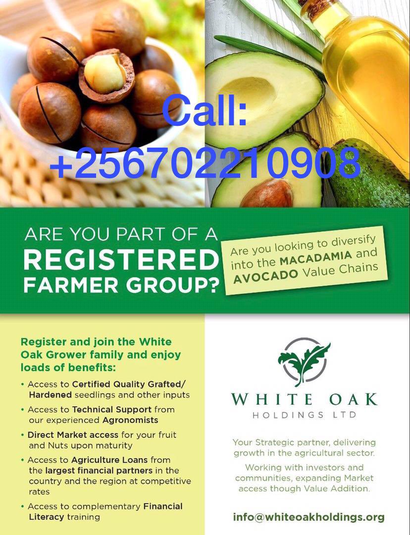 Call or email for further info ronald@whiteoakholdings.org