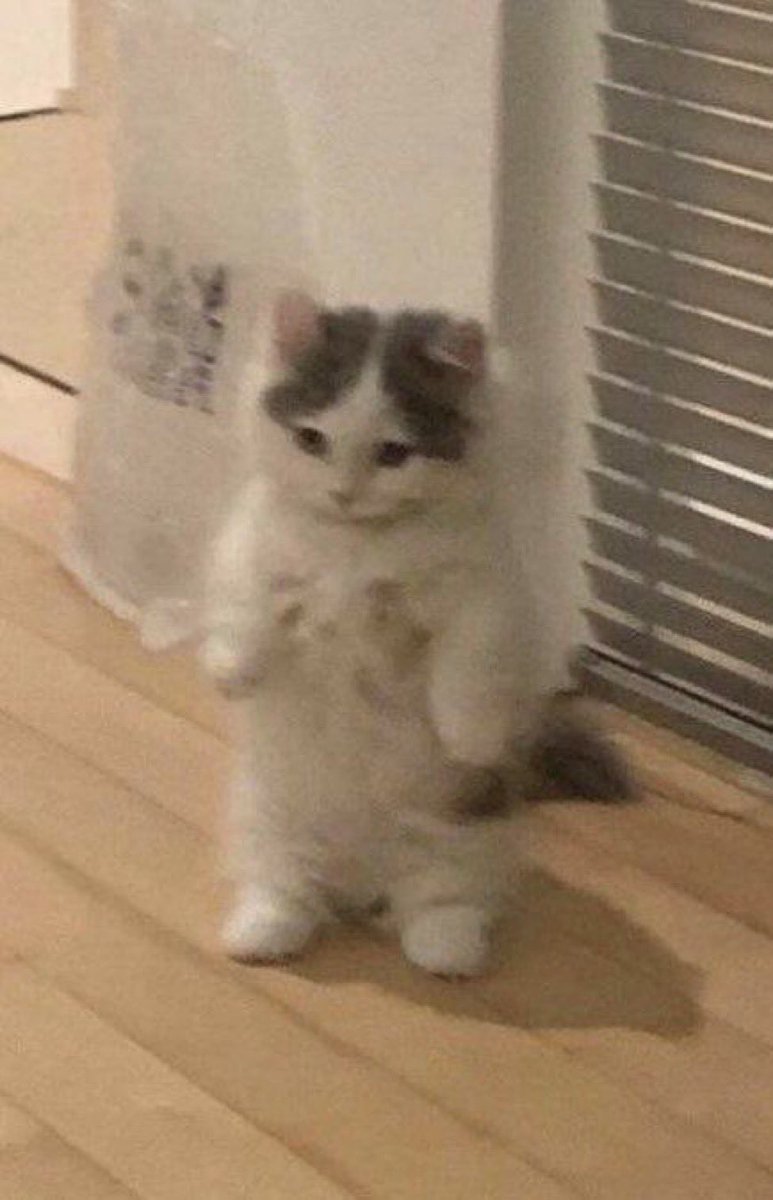 ⭐️I know most of you but when on this account I do be feeling like a stranger to the TL at times.