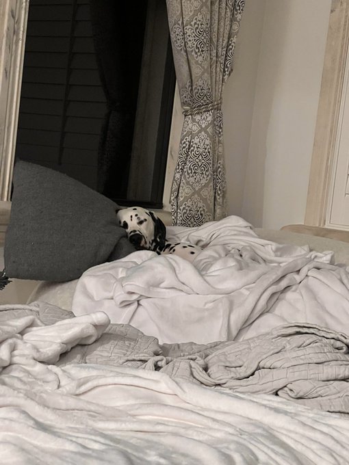 Goodnight https://t.co/spG4X3lRJh