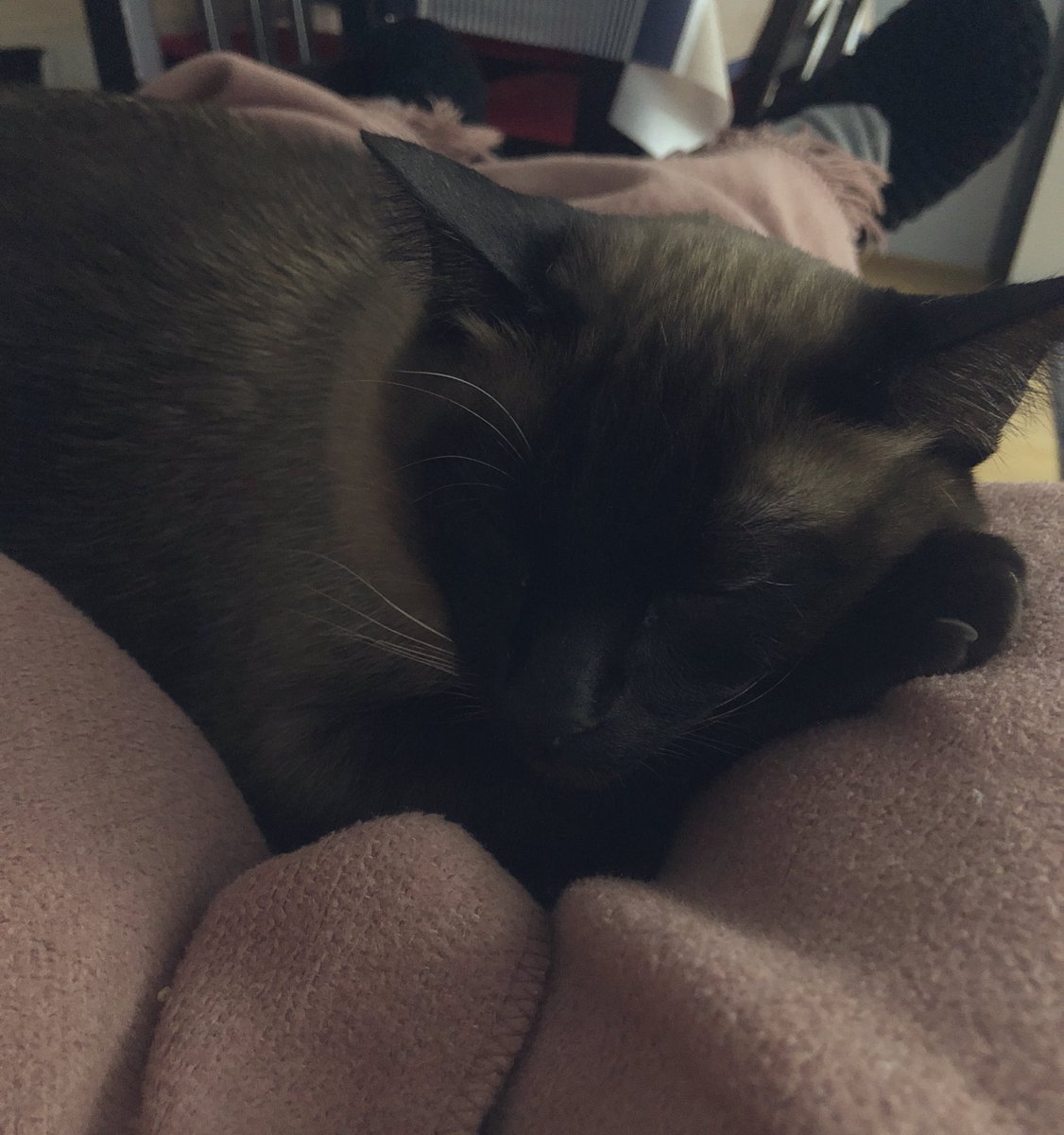 İşte böyle 👇🏻