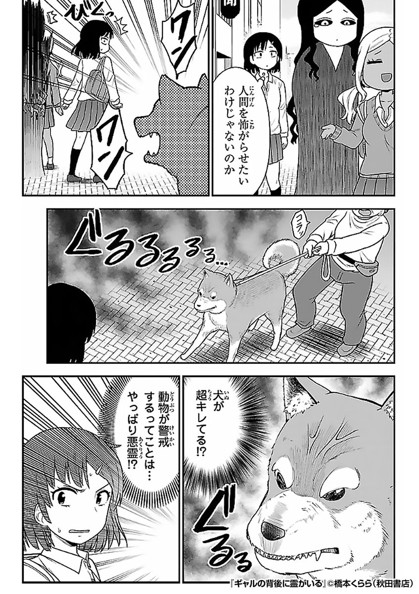 『ギャルの背後に霊がいる』3/4

https://t.co/gp0cUpsOCM 