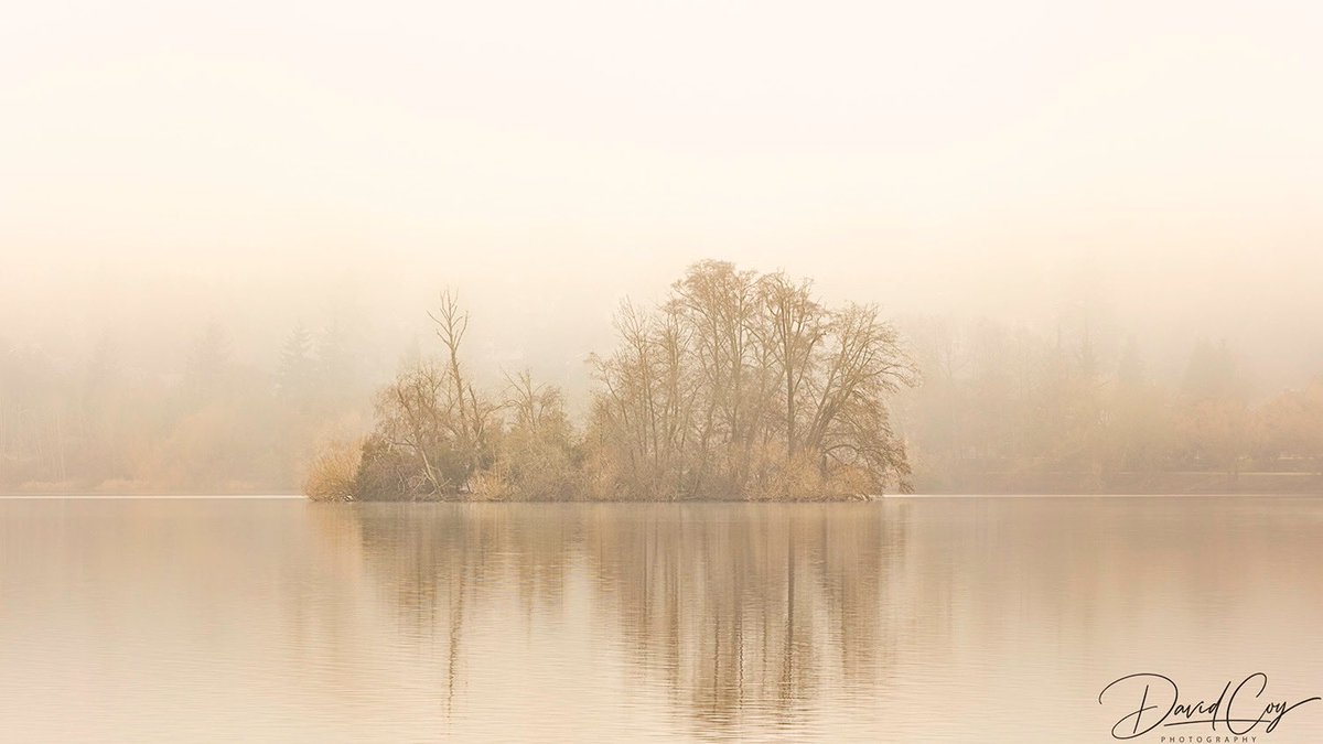 David Coy tweet media