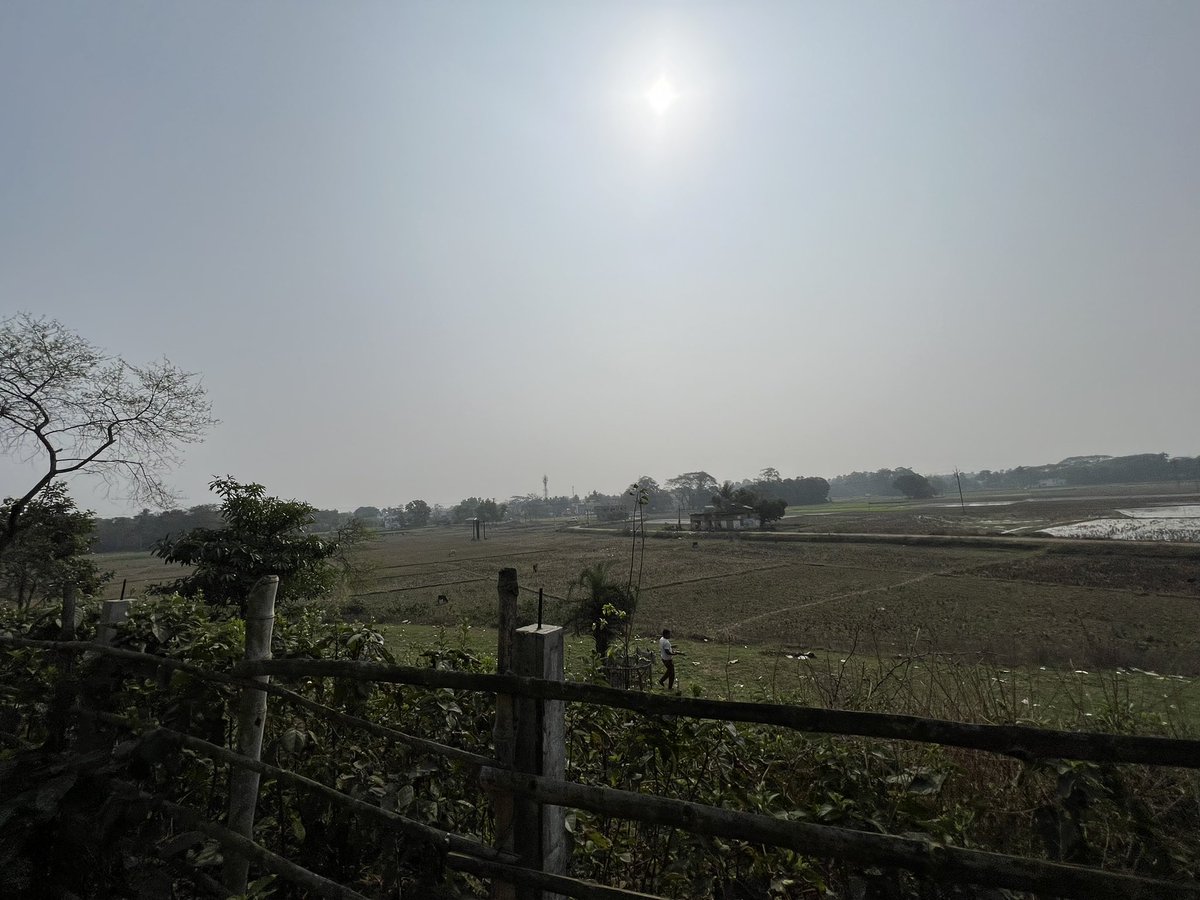 impriyankakar's tweet photo. Morning view from my native place #goodmorning #chillweather https://t.co/THFJlX0xej