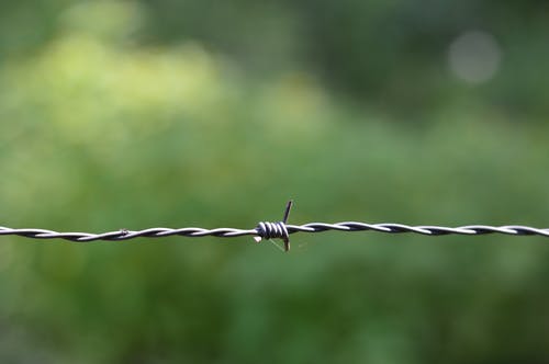 New blog - Barriers to Finding Disability Leaders

Rolling out more training programs won't address the lack of disability leaders

Read more: rebrand.ly/FindingDisLead…
