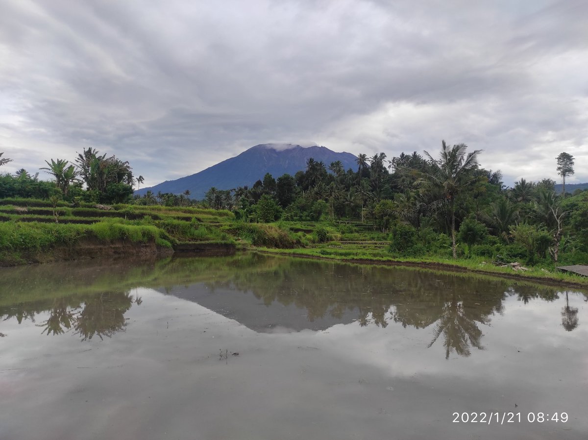 Goesty Lanang tweet media