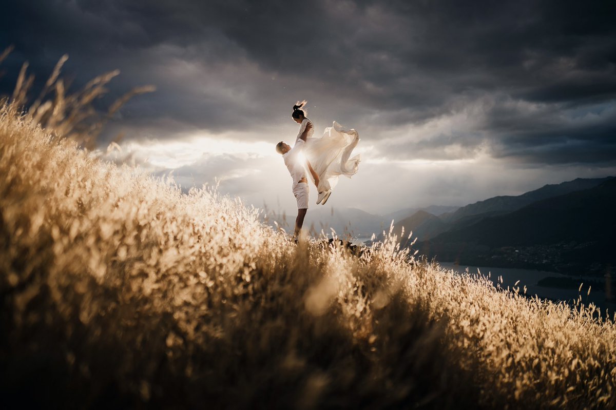 Ryan Domenico tweet media