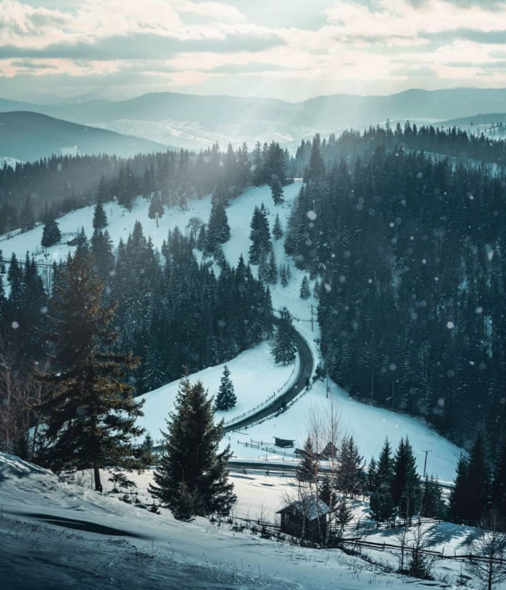 RomaniaTours's tweet photo. 🧭 Sucevita is located in Bucovina, in the northern part of Romania.
   ✨Sucevita is a beautiful little town with many old traditional houses 🏠. 

📸 Cristi Hancu 

🗺 Discover Bucovina on https://t.co/PHJ7uZ3FhG https://t.co/qytkPhp5qG