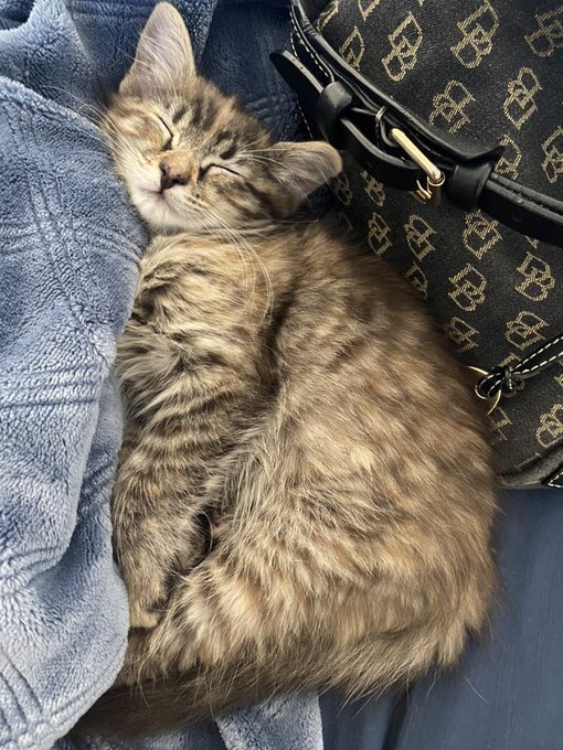 Morning energy for you Kings and Queens out there https://t.co/H6XMfRivgr