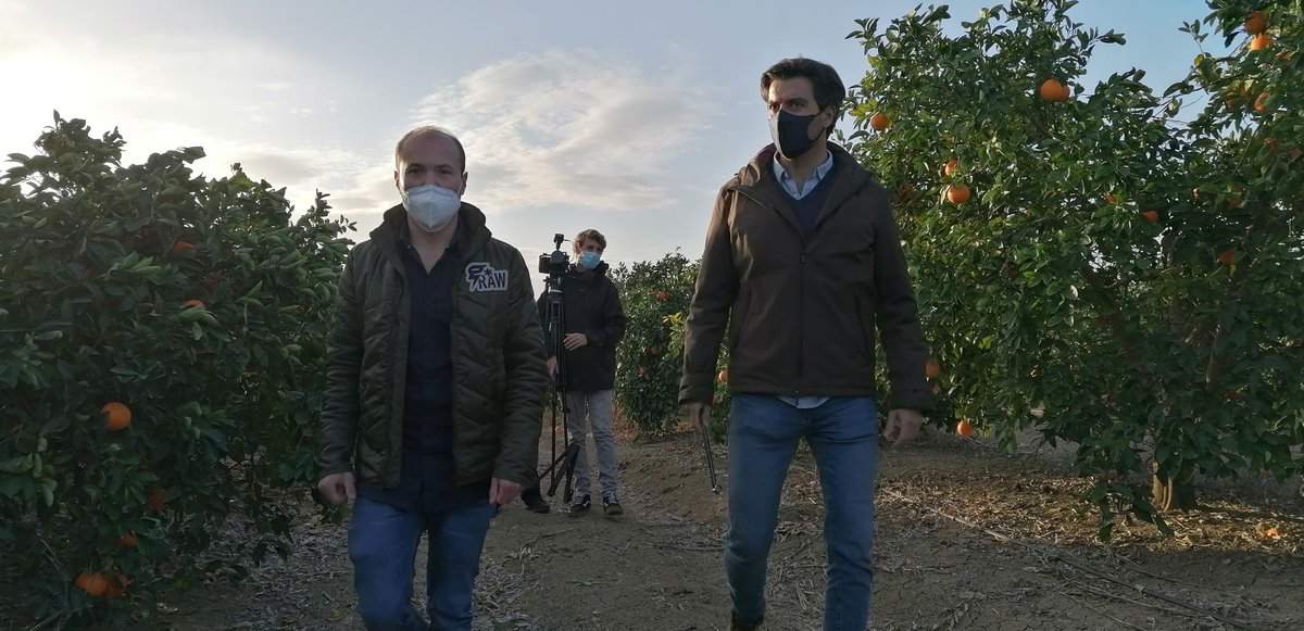 CoopsAgroAND's tweet photo. Miguel Colomar es uno de los jóvenes agricultores que participa en el programa #CULTIVA2021 del @mapagob

Es citricultor en Ibiza y ha conocido el modelo agrario andaluz junto a Fernando del Barrio, socio de #ProductoresDelCampo

@CoopsAgroSEV @CoopsAgroAND @CoopsAgroES https://t.co/ccEghnnjQ7